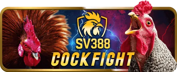 Hoàn trả cược X8